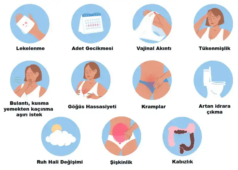 hamilelik belirtileri neler